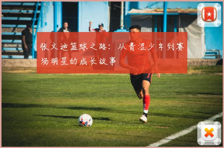 张文迪篮球之路：从青涩少年到赛场明星的成长故事