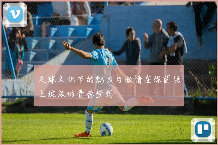 足球文化节的魅力与激情在绿茵场上绽放的青春梦想