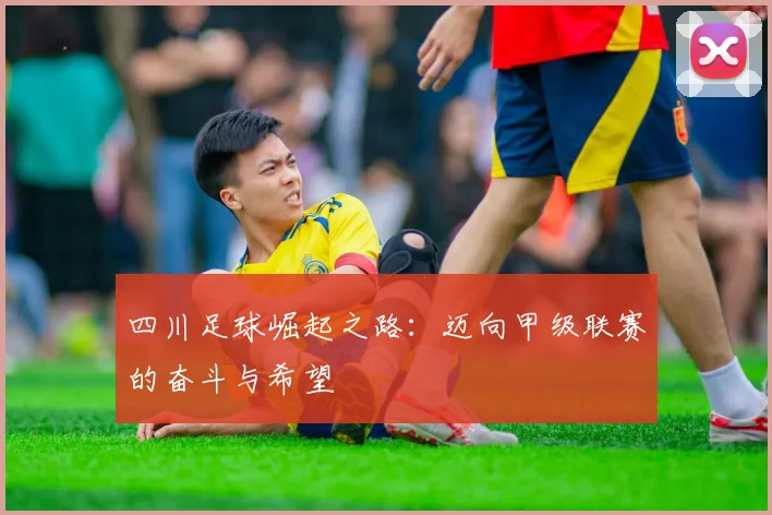 四川足球崛起之路：迈向甲级联赛的奋斗与希望