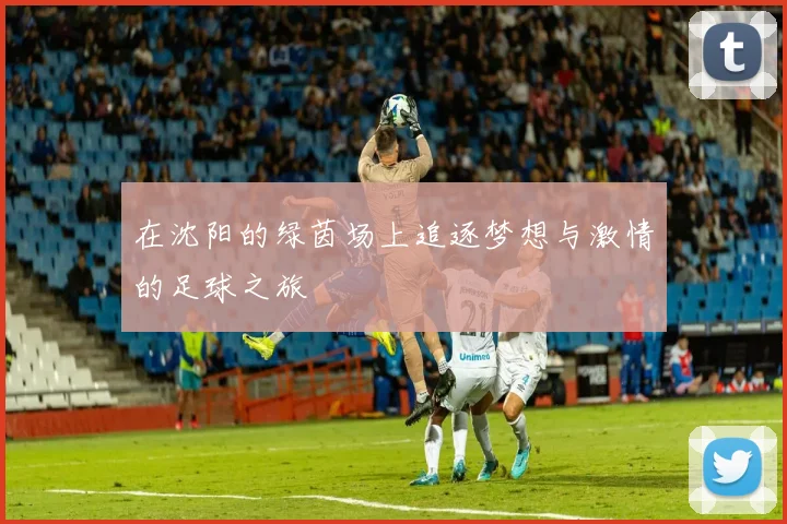 在沈阳的绿茵场上追逐梦想与激情的足球之旅